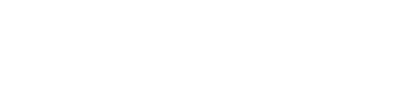 3차원 정밀 분석 장비 Ray Face