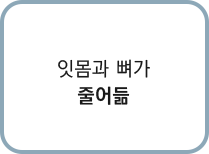 잇몸과 뼈가 줄어듦