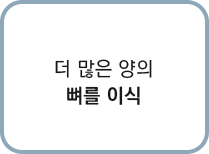 더 많은 양의 뼈를 이식