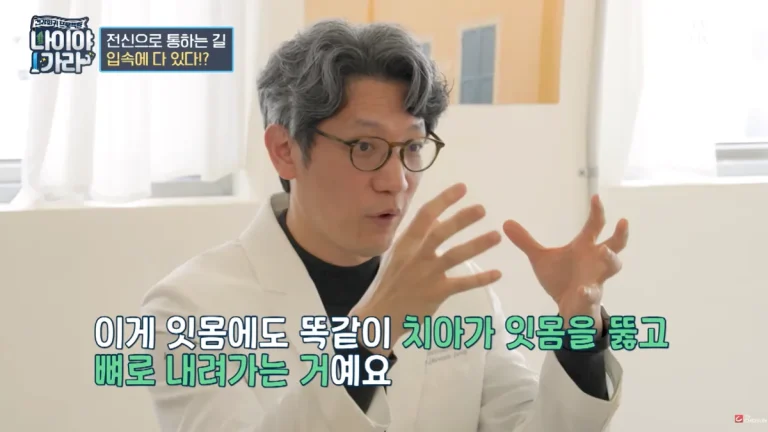 TV조선 나이야가라 41회